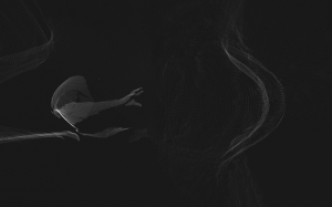 YYF_AmbientVision2_640x480